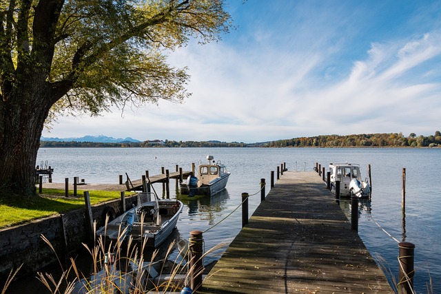 德转朱艺：阿里执法亚冠上海申花客战广岛三箭